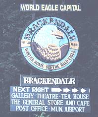 Brackendale - Winter Home of the Bald Eagle - Squamish, BC