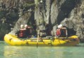 AUTUMN - WINTER (November - February) Wildlife Float Tour - bald eagles, deer, black bear, coyote - CLICK HERE