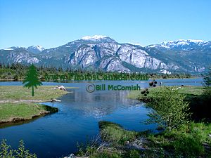 Squamish estuary where many migratory birds come to feed