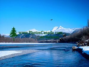 An Eagle soars above the Squamsih river